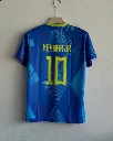 Ney WC 3.webp